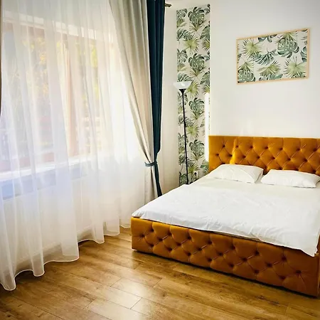 Guest house Panoramic Center Brasov