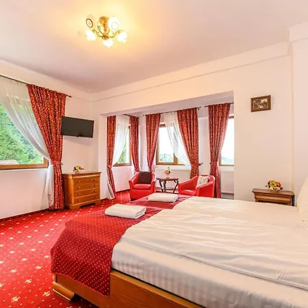 Panoramic Center Guest house Brasov